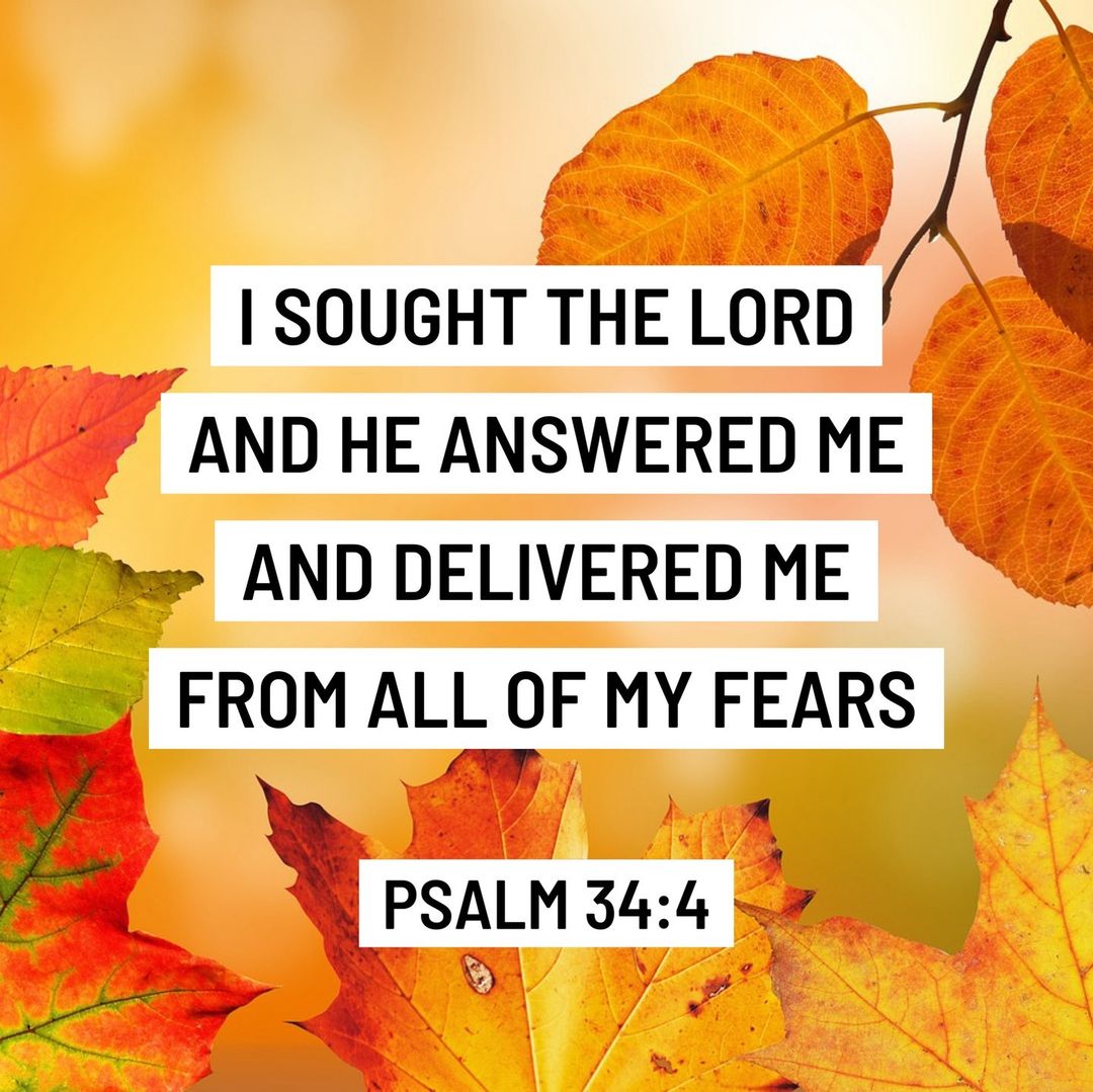 graciapearl's tweet photo. Posted @withregram • @allthingsworktogetherforgood A great verse to put to memory and meditate on when you are feeling anxious!⁠
⁠
Psalm 34:4 - I sought the Lord, and he answered me and delivered me from all my fears.⁠
⁠#allthingsworktogetherforgood #biblememe #dailydevotion https://t.co/156i6Kgzgb
