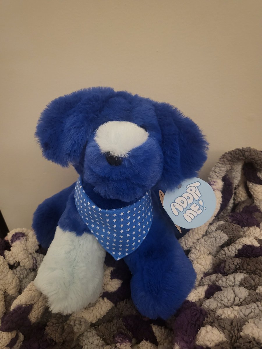 I got this lil guy named Tides! he is so soft and fluffy cant wait to take him on adventures!