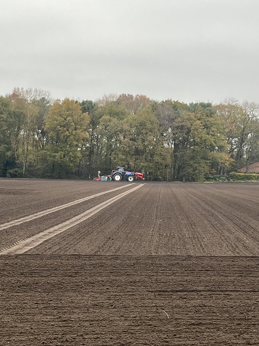 Winter tarwe zaaien. 9 november 2024