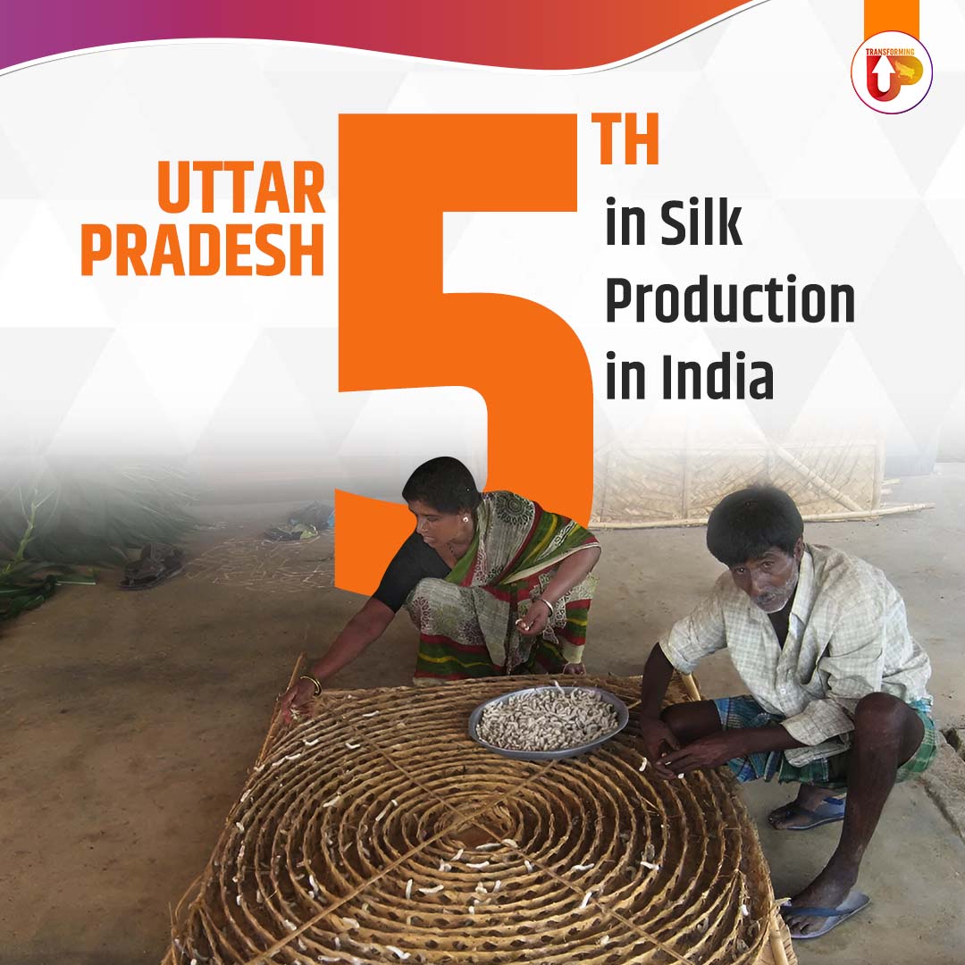 transforming_up's tweet photo. Proudly ranked 5th in India for silk production, #UttarPradesh continues to nurture its rich heritage of craftsmanship, contributing to the growth of India’s textile industry.
#SilkProduction #UPTextiles #TransformingUP
11/12