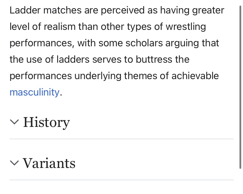 TYNereim's tweet photo. @bimbotoad Actual paragraph from the ladder match wiki page. O.o https://t.co/bIm3UtzZeM