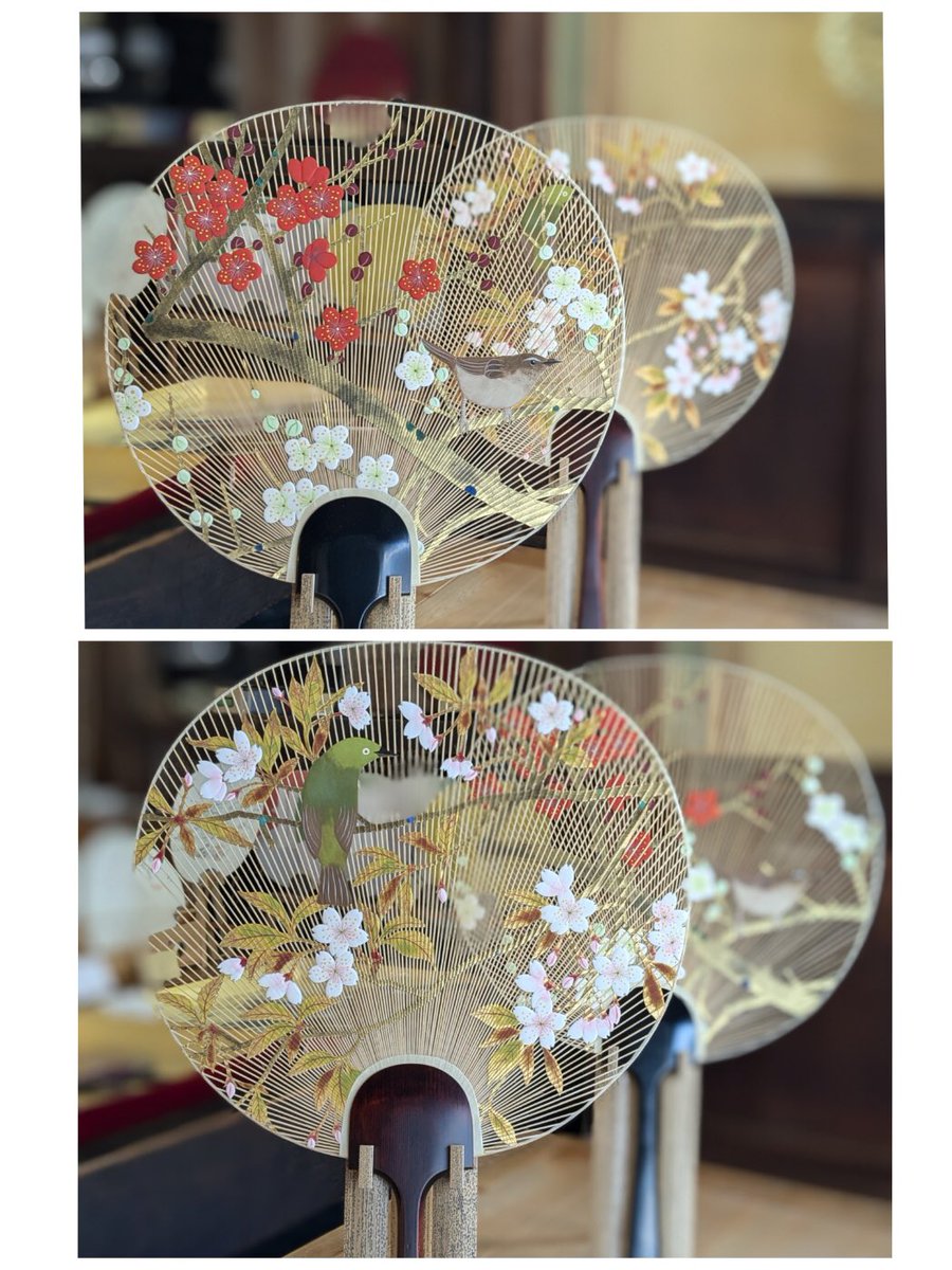 kyouchiwa's tweet photo. いつもありがとうございます。京うちわの阿以波です。
四季折々の風景と羽ばたいて飛び出しそうな生き生きとした鳥の飾りうちわを集めてみました。
【営業時間のお知らせ】
営業時間 10:00〜18:00
店休み 日祝
#京うちわ阿以波 #roundfan #伝統工芸 #kyoto #京都 https://t.co/TOTxtEJGBB