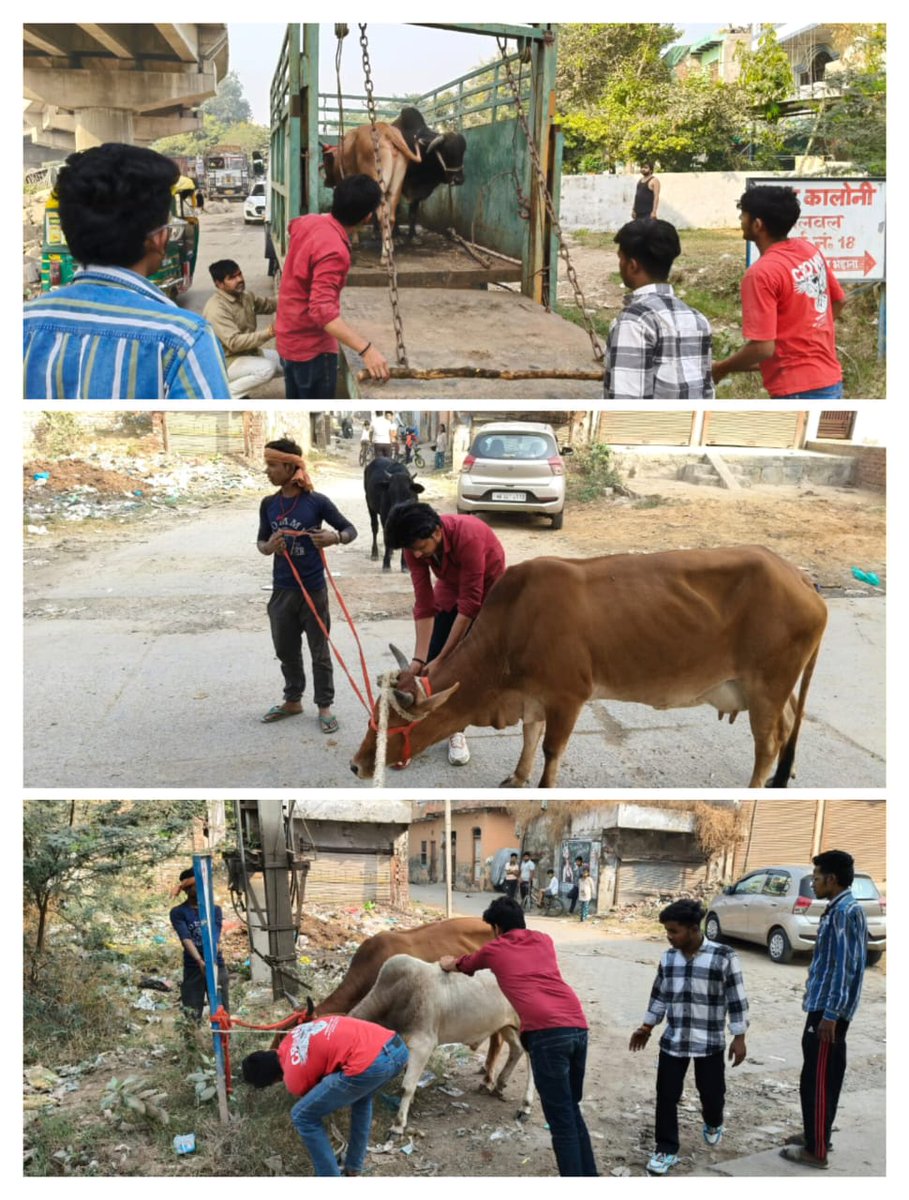 Municipal Council Palwal tweet media