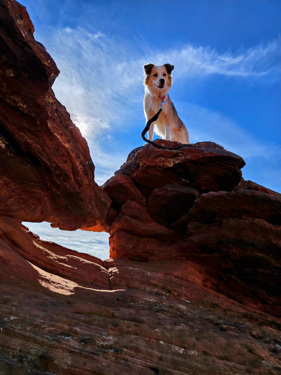 Loathe** tweet media