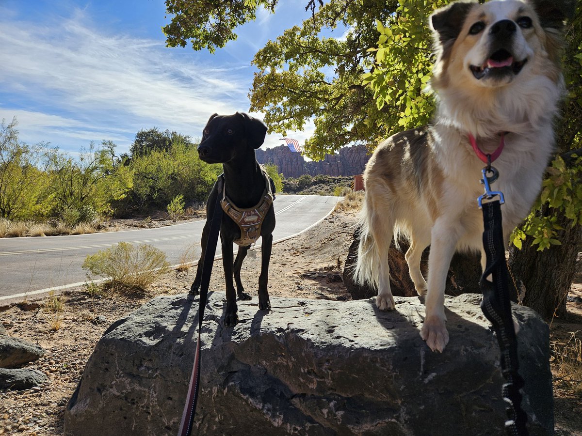 Loathe** tweet media