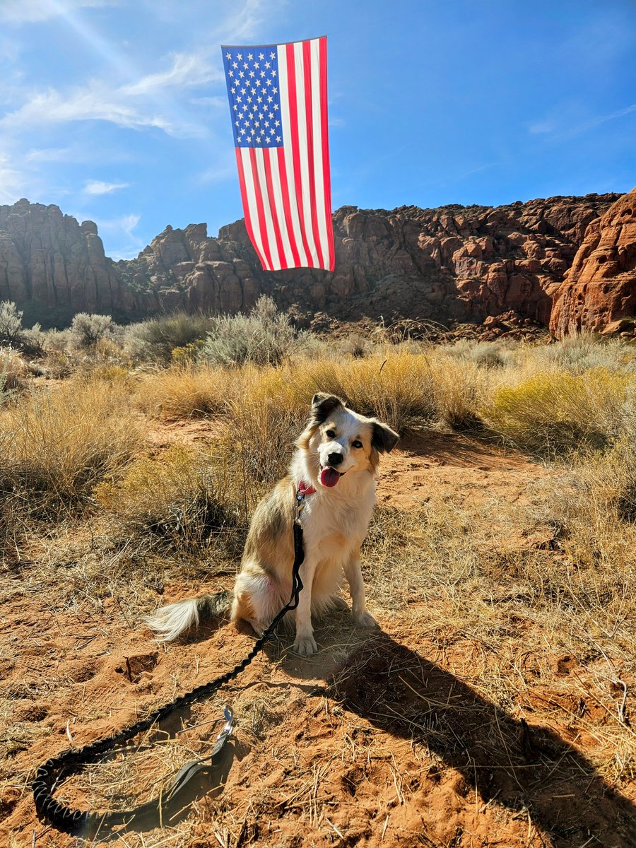 Loathe** tweet media