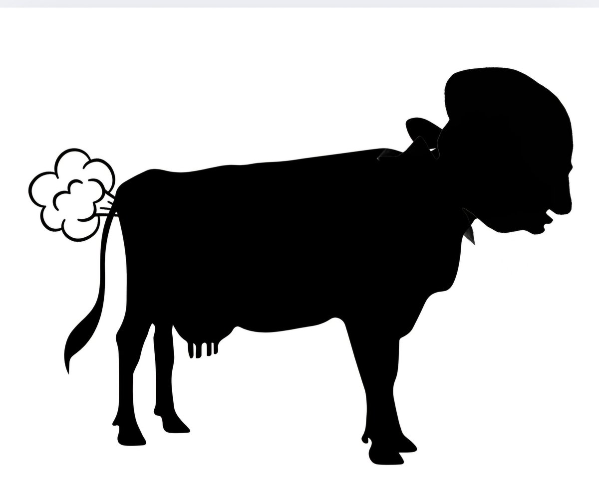 Kibet_bull's tweet photo. Cow that should be vaccinated. https://t.co/XSZwiruT3k