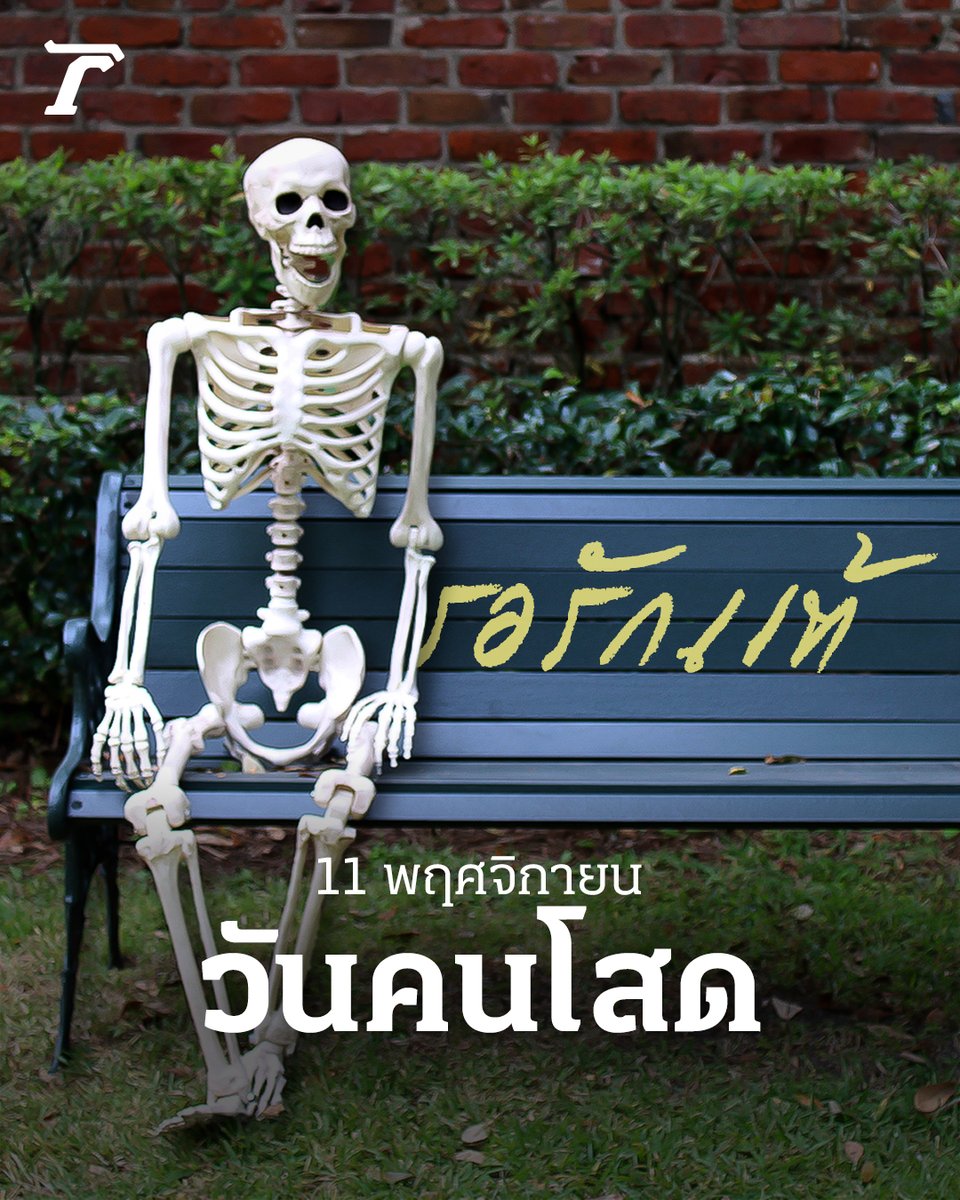 Thairath_News's tweet photo. ใครโสดยกมือขึ้น! 🙋⁣
⁣
ทุกวันที่ 11 เดือน 11 ของทุกปี ถูกระบุให้เป็นวันคนโสดสากล (Singles' Day) และหากจะถามว่าปัจจุบันทั้งโลกมี “คนโสด” มากแค่ไหน? ข้อมูลขององค์การสหประชาชาติ เผยว่า เมื่อปี 2023 มีจำนวนคนโสดทั่วโลกมากถึง 2.12 พันล้านคน ราว 27% หรือเป็นสัดส่วน 1 ใน 4 ของประชากรทั้งหมด ขณะอีก 6 ปีข้างหน้า (ปี 2029) โลกจะเต็มไปด้วยคนโสดสัดส่วนสูงมากกว่า 35%⁣
⁣
ขณะที่ข้อมูลสถิติของคนไทยโดยสำนักงานสถิติแห่งชาติ ปี 2566 พบว่า 1 ใน 5 ของคนไทยเป็นคนโสด สัดส่วนอยู่ที่ 23.9% ต่อประชากรคนไทยทั้งหมด และหากพิจารณาเฉพาะช่วงวัยเจริญพันธุ์ อายุ 15 – 49 ปี พบว่ามีคนโสดสูงถึง 40.5% ไม่นับรวมกลุ่มคนที่แต่งงานแล้วหย่าร้างภายหลัง⁣
⁣
#วันคนโสด #ไทยรัฐออนไลน์