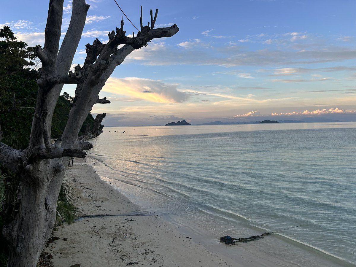 bellavinia's tweet photo. Phi phi 🥰 https://t.co/nmNAPUbUQj