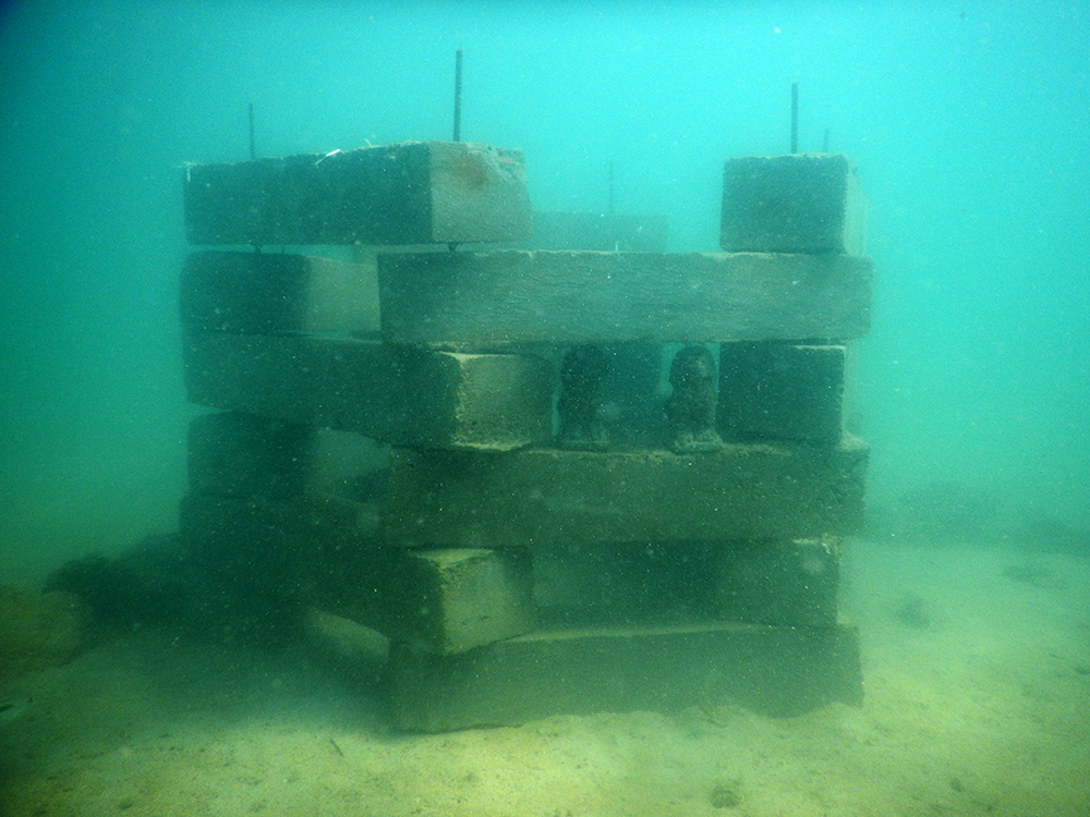 MissionBlue's tweet photo. Local conservationists, scientists, and volunteers in the Kep Archipelago Hope Spot are restoring degraded ecosystems by deployed artificial habitats, called Conservation and Anti-Trawling Structures.   

📸 provided by Hope Spot Champion 
@NGO_MCCcambodia https://t.co/CCbVMUpn2k
