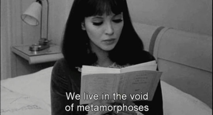 ͏ ͏ ͏͏ ͏ ͏ ͏͏ ͏𝑪. ͏ ͏͏ ͏ 𝓥𝒆𝒓. (@litrofus) on Twitter photo 