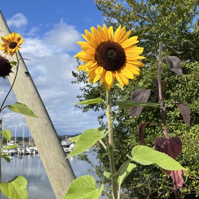 TCaluba's tweet photo. #NewProfilePic https://t.co/gHO1oG5OHn