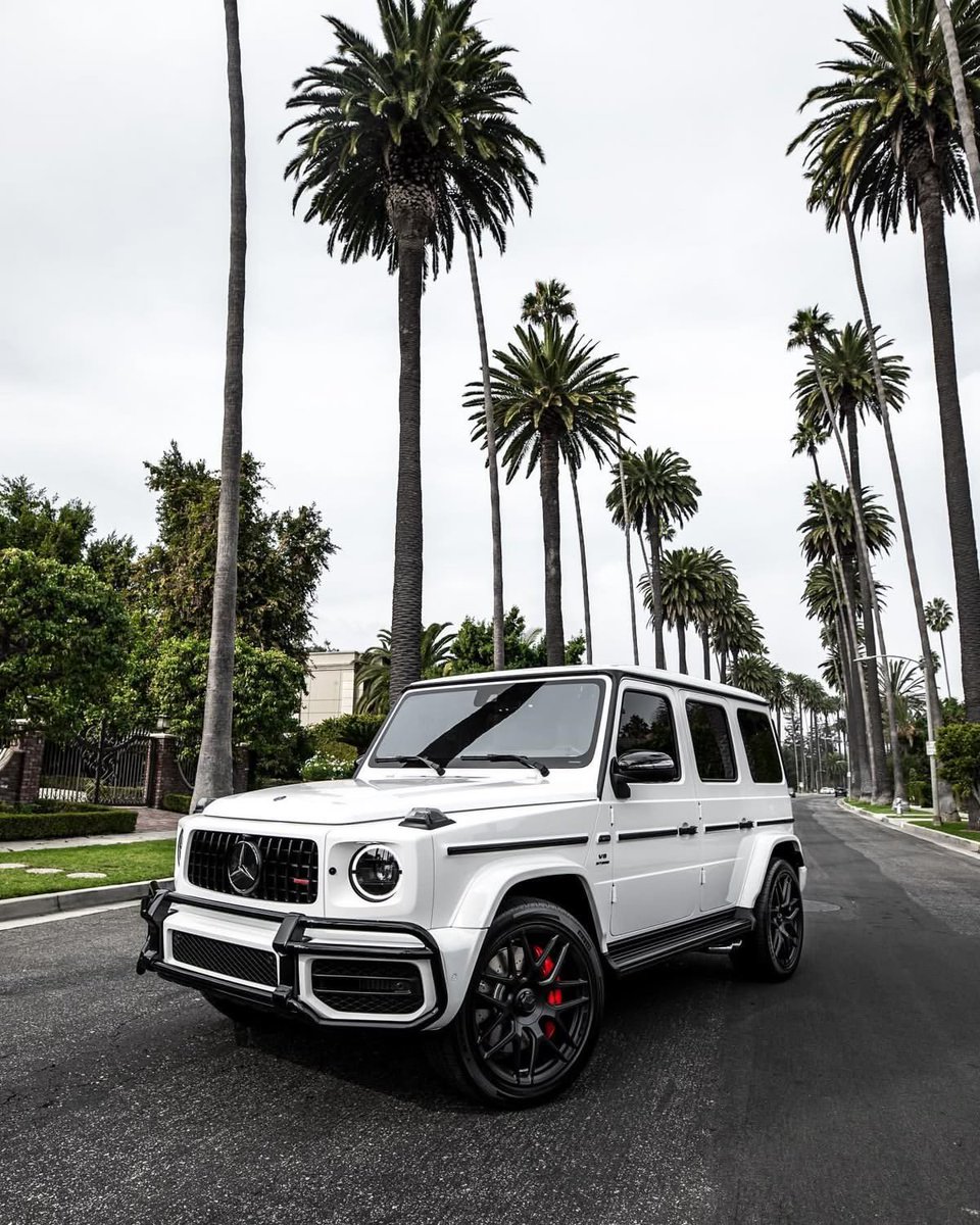 Big Alex tweet media