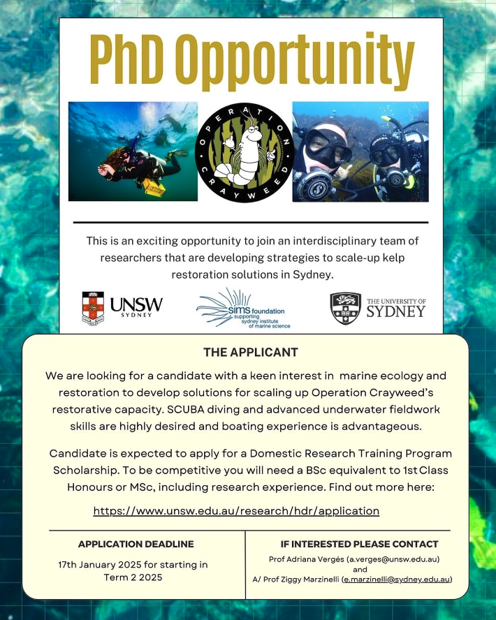 Looking for a domestic PhD student to kick start a new stage in our #OperationCrayweed #marine #restoration work in Sydney - please share widely! Deadline January 17th