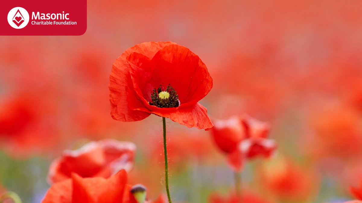 Masonic Charitable Foundation tweet media