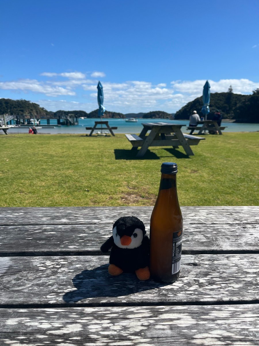PMILibrary's tweet image. This time Luna relaxing in the bay of islands with Ellen. What a lucky #LibraryMascot 😍

#LunaAdventures #TravellingLibrarian #PMIVicHistoryLibrary