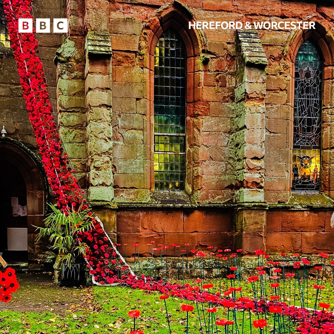 bbchw's tweet image. A wave of community spirit has swept through Catshill as over 6,000 handmade poppies now fill the village in a stunning tribute for Remembrance Day 🌺❤️ 

 #RemembranceDay #CommunitySpirit #PoppyProject #Catshill