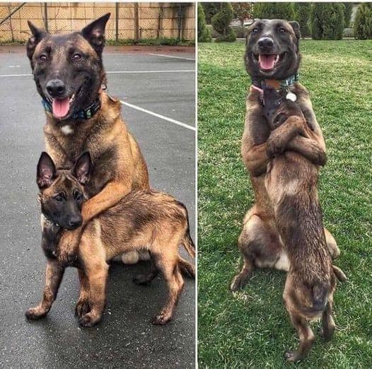 “Don’t scroll past without saying ‘Hi’ to us!”❣