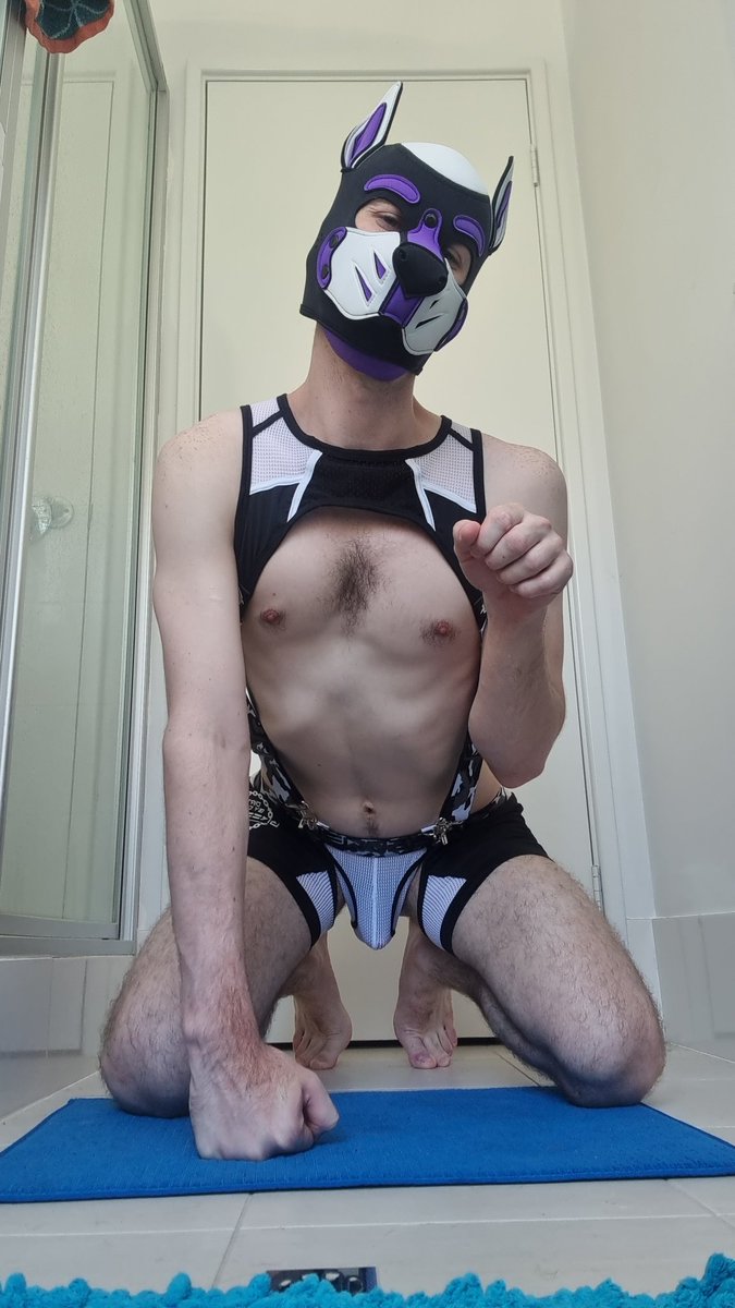 Will be moving to bluesky if you want to keep up with what this pups up to <a href="/pupsif/">Pupsif</a>.bsky.social