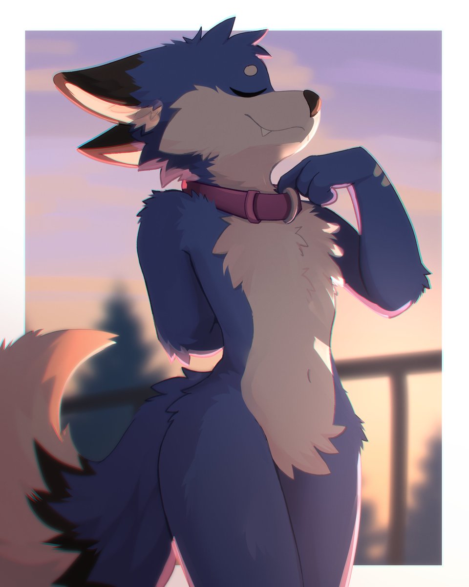 zell950's tweet photo. Floof :3 https://t.co/T6yYzbBYFE