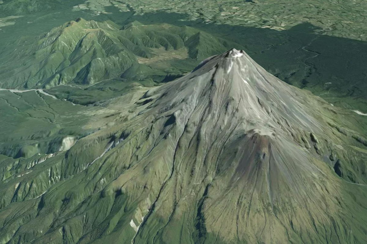 NZ Wilderness tweet media