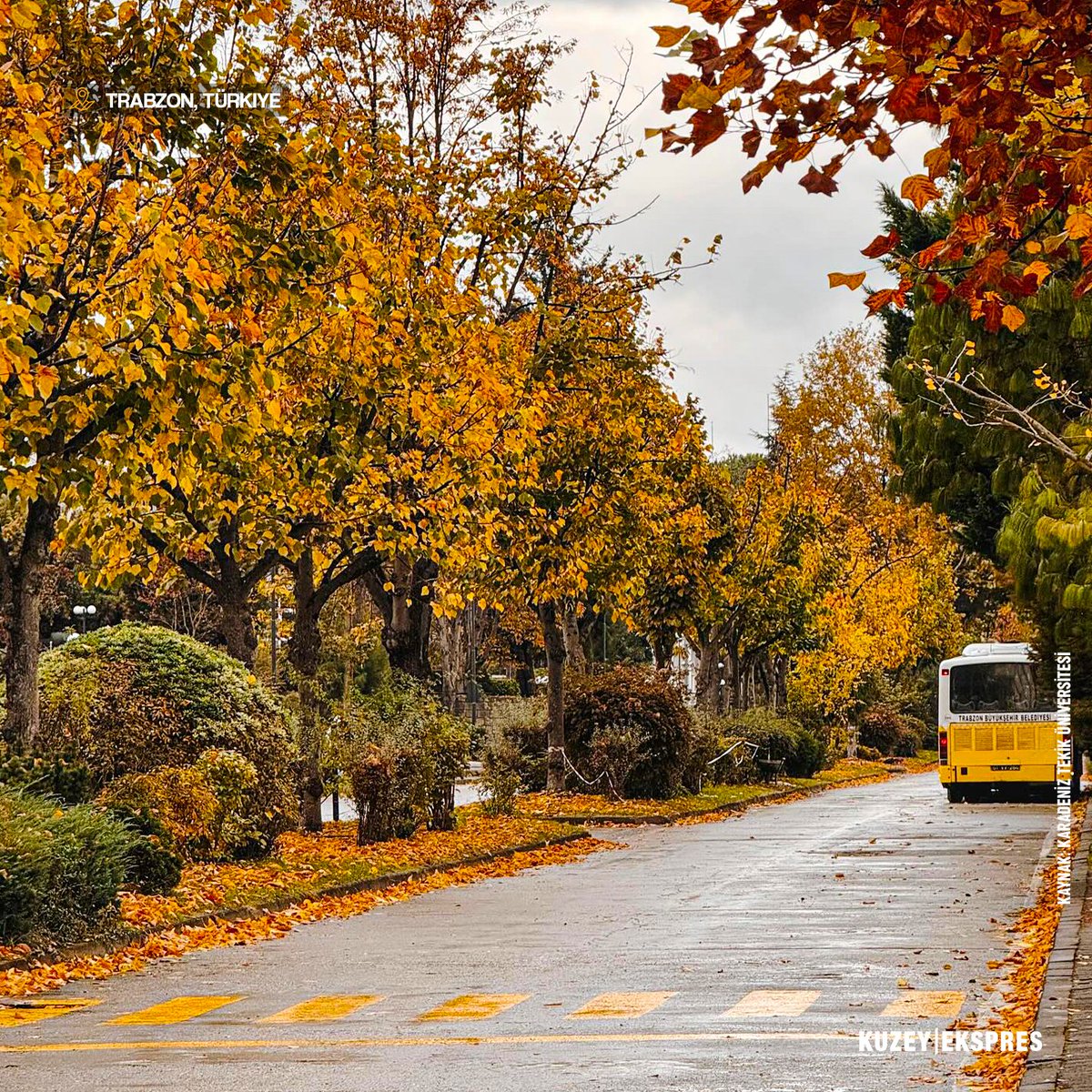 Karadeniz Teknik Üniversitesi'nde sonbahar.🍂

📍Trabzon | Türkiye