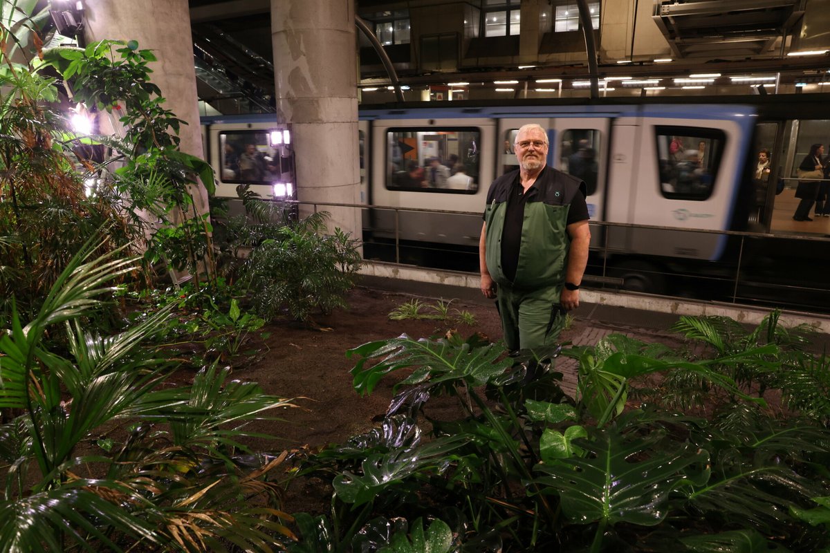 « C’est un lieu unique au monde » : dans les secrets de la serre tropicale station Gare-de-Lyon
➡️ l.leparisien.fr/kpzI