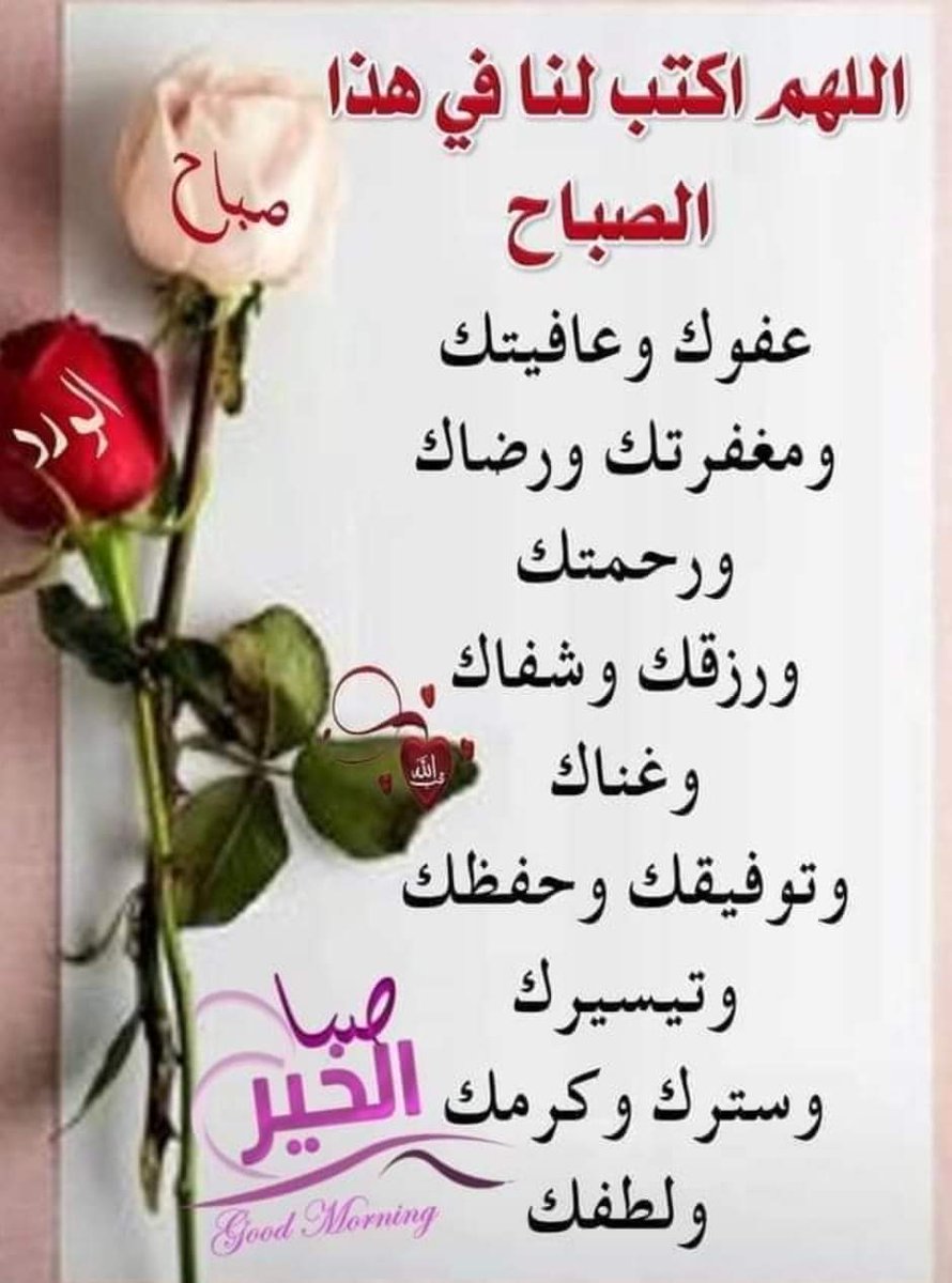 SayedMo42713256's tweet photo. @ManalLoud https://t.co/6kJJbCLz5Y
