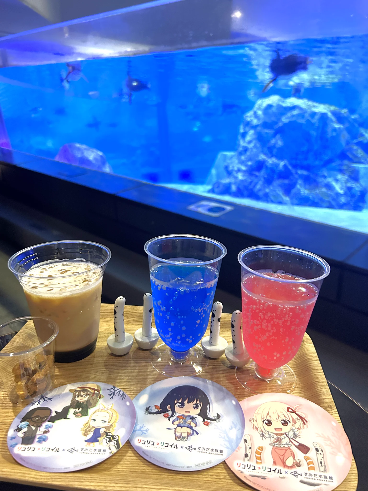 すみだ水族館【公式】 on X: 