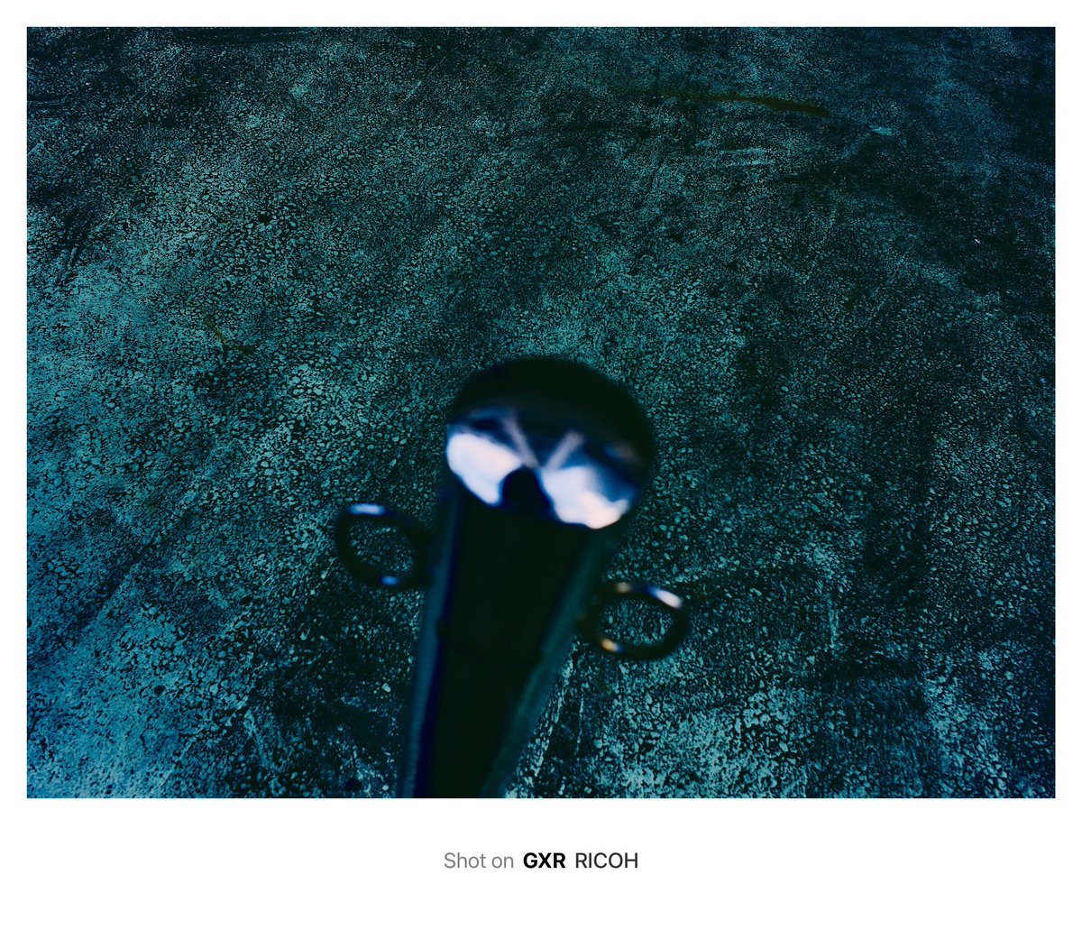 koikeyellow's tweet image. GXRも好き
#RICOH
#GXR