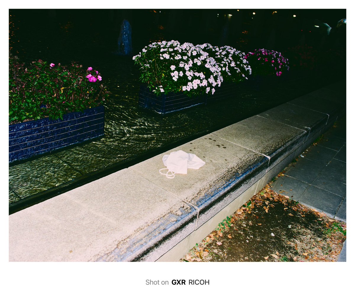 koikeyellow's tweet image. GXRも好き
#RICOH
#GXR