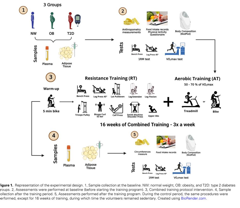🟡 J. Butragueño, PhD tweet media