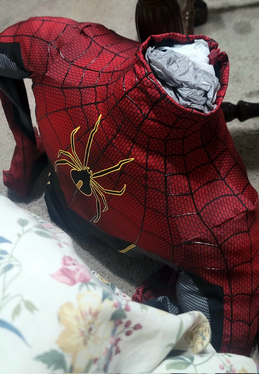 Even with crappy lighting, that spider looks good 🤩