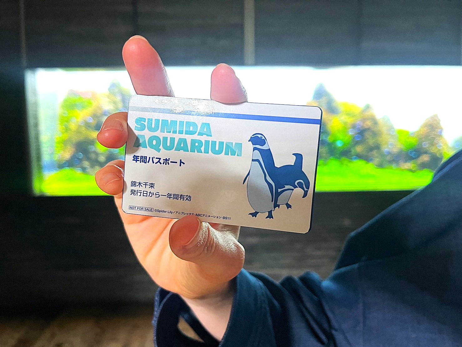 魅了 すみだ水族館【公式】 on  X: ラベル・インデックスディバイダー・スタンプ