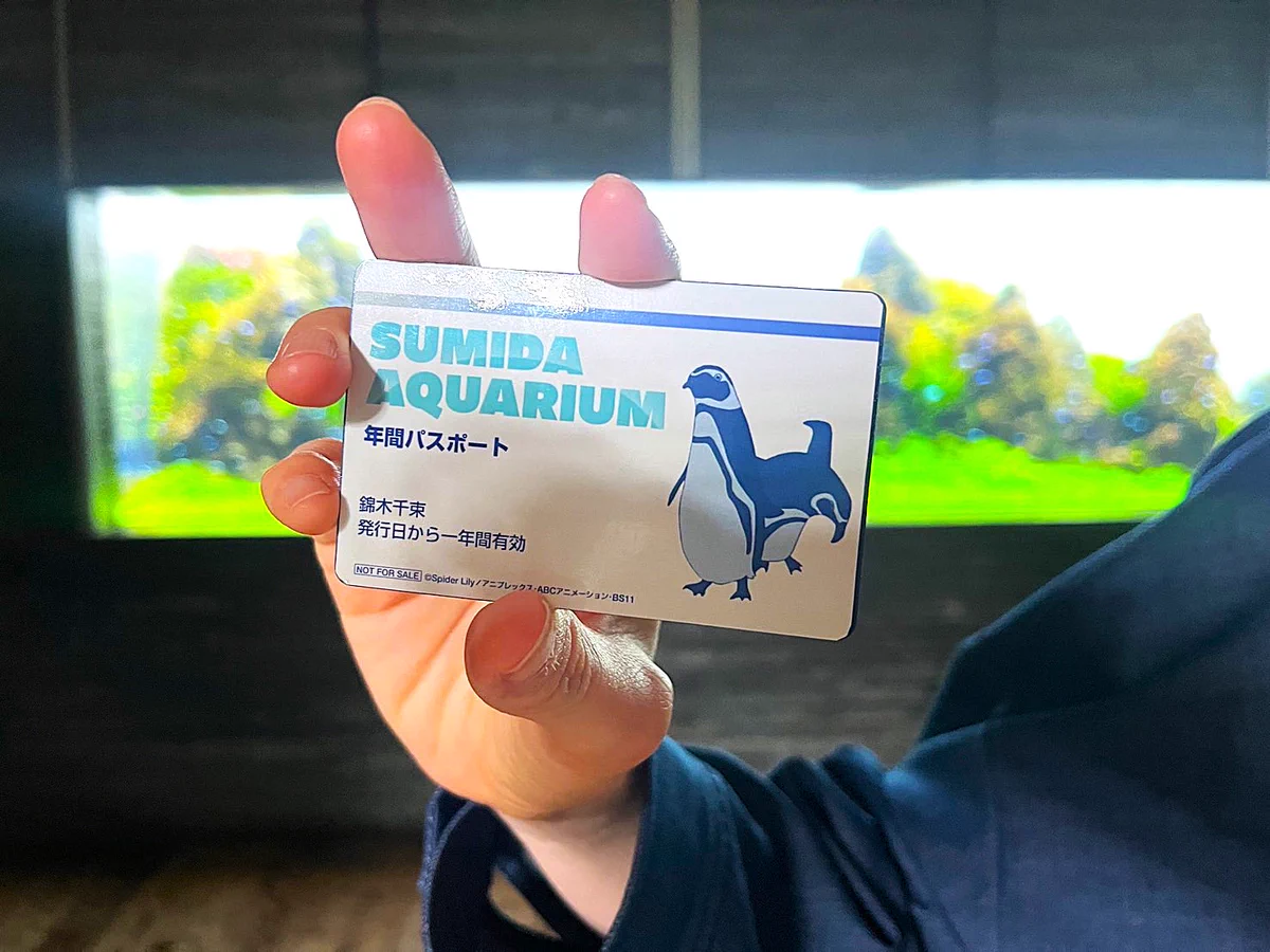 すみだ水族館【公式】 on X: 