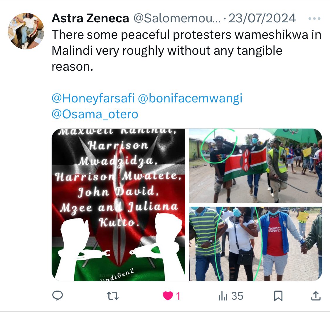 Salomemoureen's tweet photo. @Honeyfarsafi You are not being honest. I see you rattling the Malindi MP masking yourself as a savior for Malindi residents. 
On 23rd of July I reached out to you seeking for assistance regarding some arrests
As you can see you and your fellow activist for pay did not respond. https://t.co/e4gFtavFzq