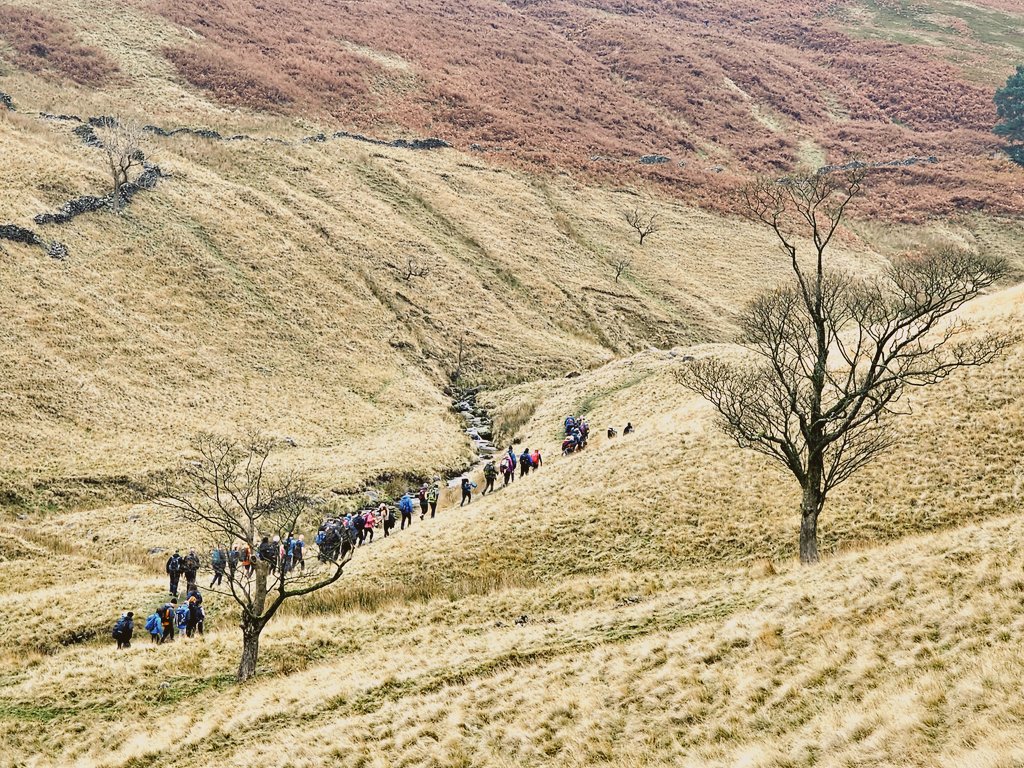 Hiking Manchester 🐝 tweet media