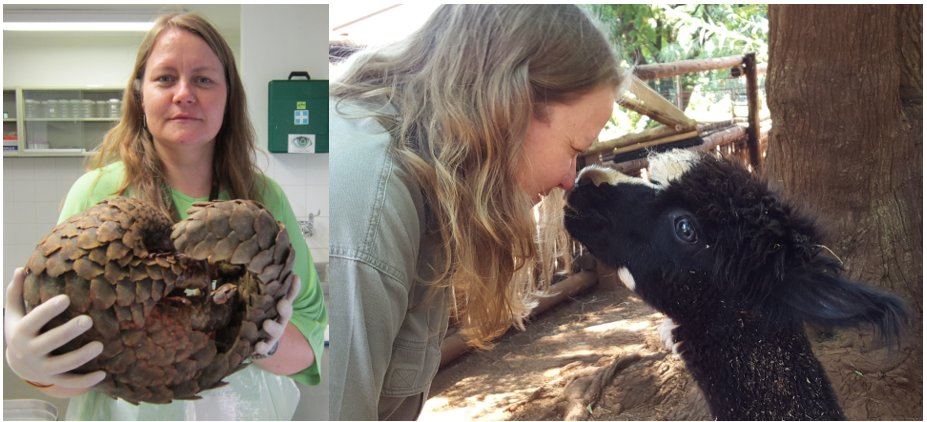 Catch Biobank Curator Kim Labuschagne's talk, "The SANBI Wildlife Biobank: Conserving Tomorrow, Today."

Date: 13 November 2024
Time: 10:30am (SAST)
Venue: Lecture Room, NRF-SAIAB, Somerset Street, Makhanda
Zoom Registration Link: zoom.us/.../tJAtdeqhrT…
Passcode: 759970