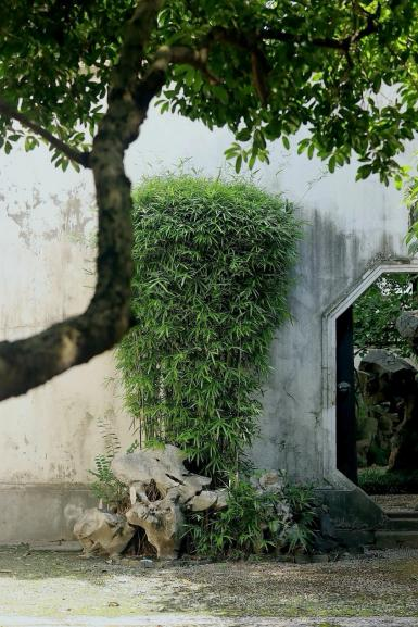 ยอดเยี่ยมมณฑลเจียงซู—Charm of Jiangsu tweet media