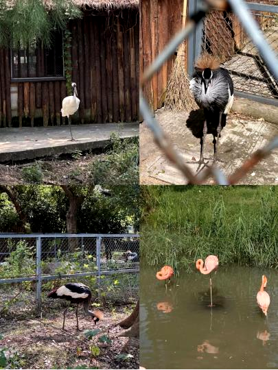 ยอดเยี่ยมมณฑลเจียงซู—Charm of Jiangsu tweet media