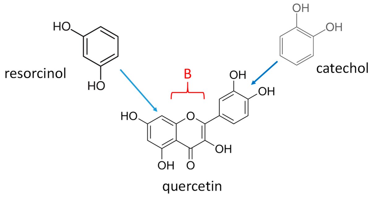 Surfaces19's tweet image. #mdpisurfaces
📕Paper Published in 2024
📌"Is the Interfacial Electrochemical Behavior of Quercetin the Same as That of Catechol Plus Resorcinol?" by Vincent Ball.
#quercetin
#catechol
#resorcinol
#electrochemical
#deposition

Access the paper: 🔗mdpi.com/2571-9637/7/3/…