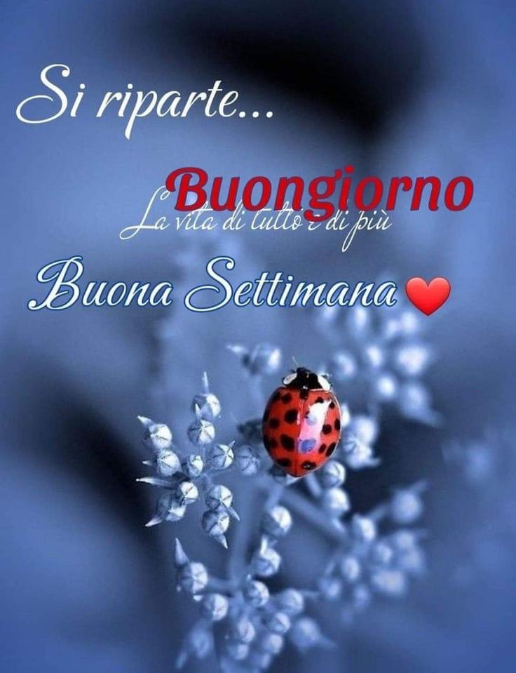 RITABIANCHi56 tweet media