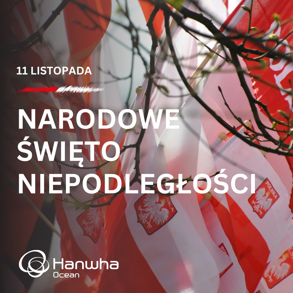 HanwhaOcean_PL's tweet photo. 🇵🇱 W historii Polski i Korei Południowej istnieje wiele analogii. Doskonale rozumiemy ogromne znaczenie Święta Niepodległości 11 listopada, tak bliskiego sercom Polaków.

Życzymy Polakom, aby nieustannie i z dumą pielęgnowali tę piękną tradycję. https://t.co/QmY07DXKv6