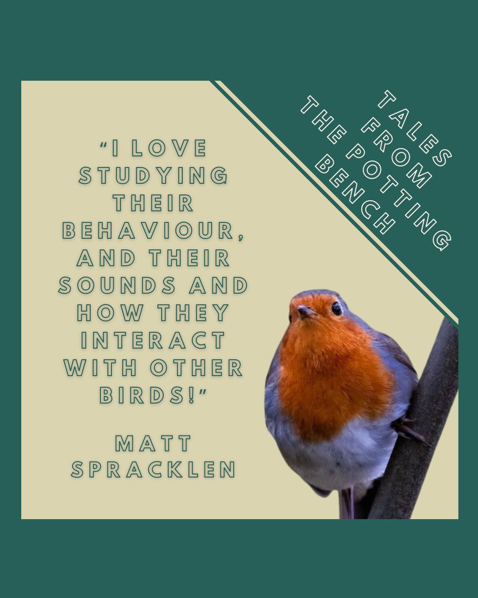 Adam • Gardener • Writer • Podcaster tweet media