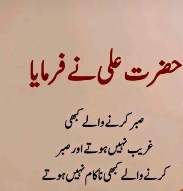 SHAHZAD (@shahzad486548) on Twitter photo 