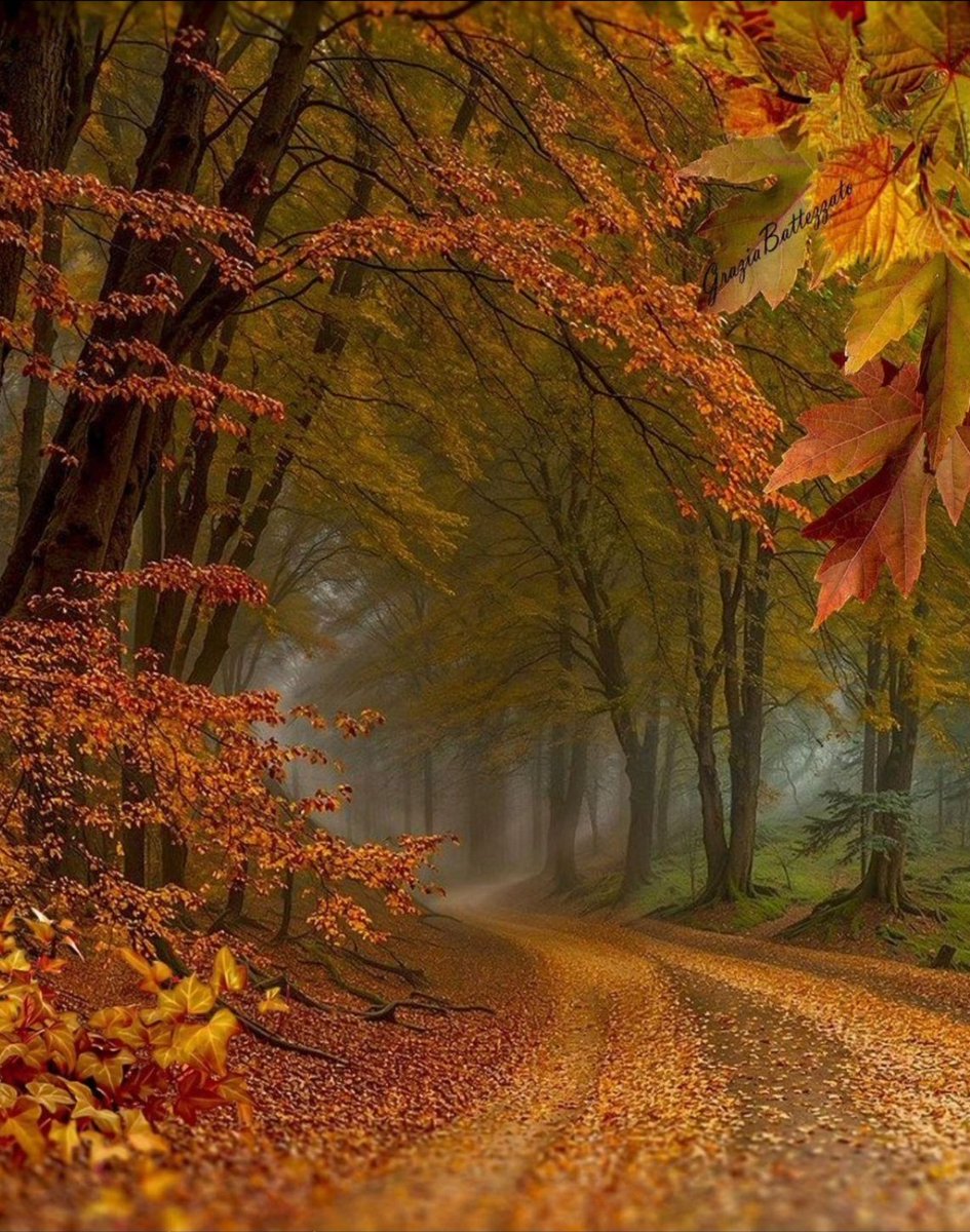 Nature Explorer (@natureexpl96980) on Twitter photo 