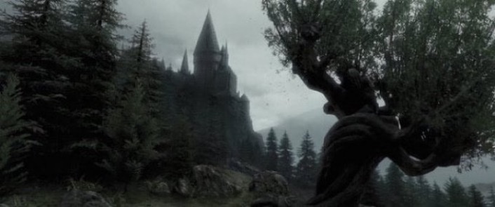 Daily Harry Potter tweet media