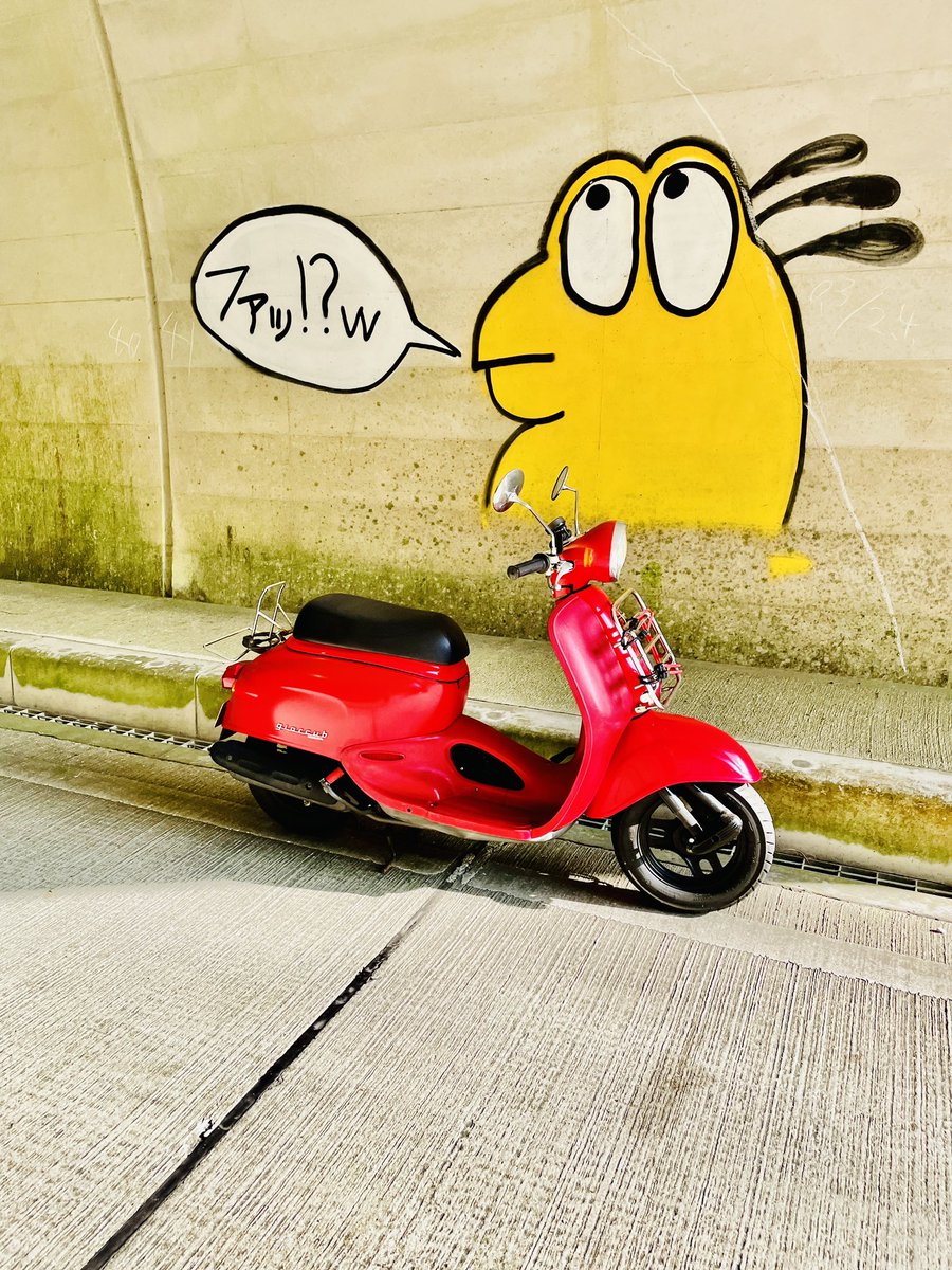 uzuramanZ's tweet photo. ▼和泉市が管理してるトンネルはたったの3つ。名前すら知らなかった #小川大野トンネル を探しに。 #beelinemoto2 で〝楽しいコース〟で気楽に走る。 #父鬼 近くの山方面だった。カエルのようなキャラの落書きが可愛い。
#giorcub #giorcub50 #af53 #scooter #cub #returnrider #HONDA
#Beeline https://t.co/tWO00cGUWb