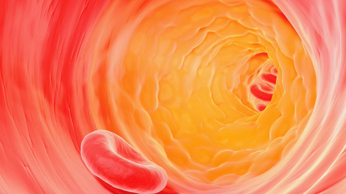 COF Madrid tweet media