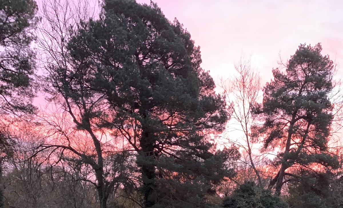 Alison Newell🔶 tweet media